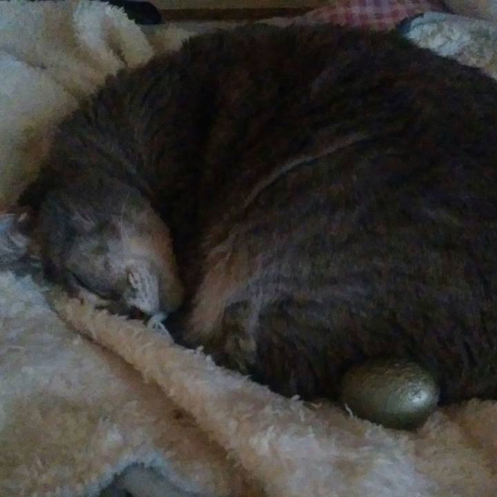 218085cf a4af 4e8c b9fc 8a76b041ed1c 1523419735212