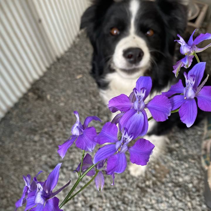 2180abf6 55e1 421e 9e04 b93abee7e7f0 1619503555721