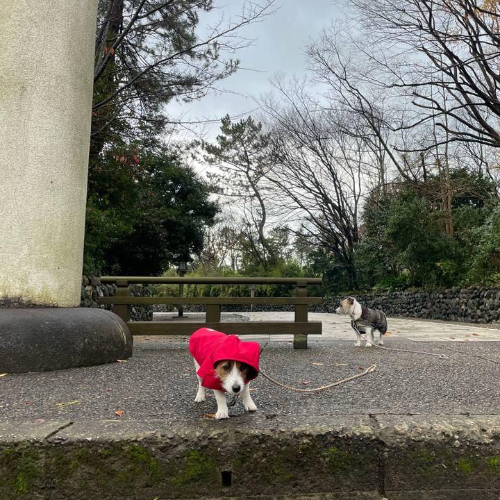 2180bd75 b4a4 47b0 ac67 0c24b409e3b5 1670632233139