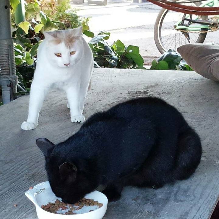 2180d5a5 f086 4f1e aaaf d1ad9c52deb4 1514253942762