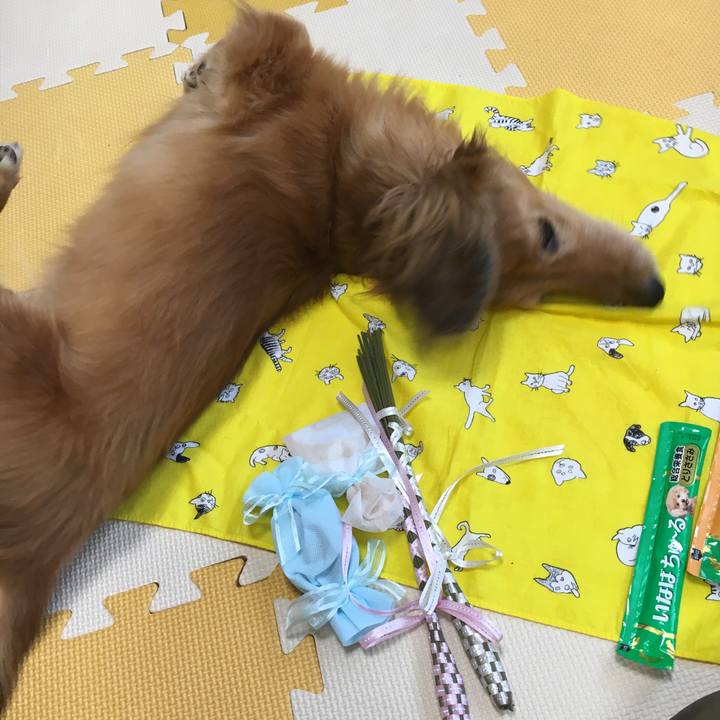 2180de81 9482 4a0d aa49 2dfc9c860eee 1594627748674