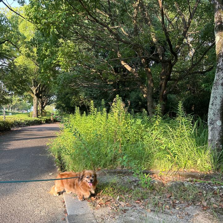 2180efd7 0866 4cbd a423 6d6620ec17ce 1754259479393