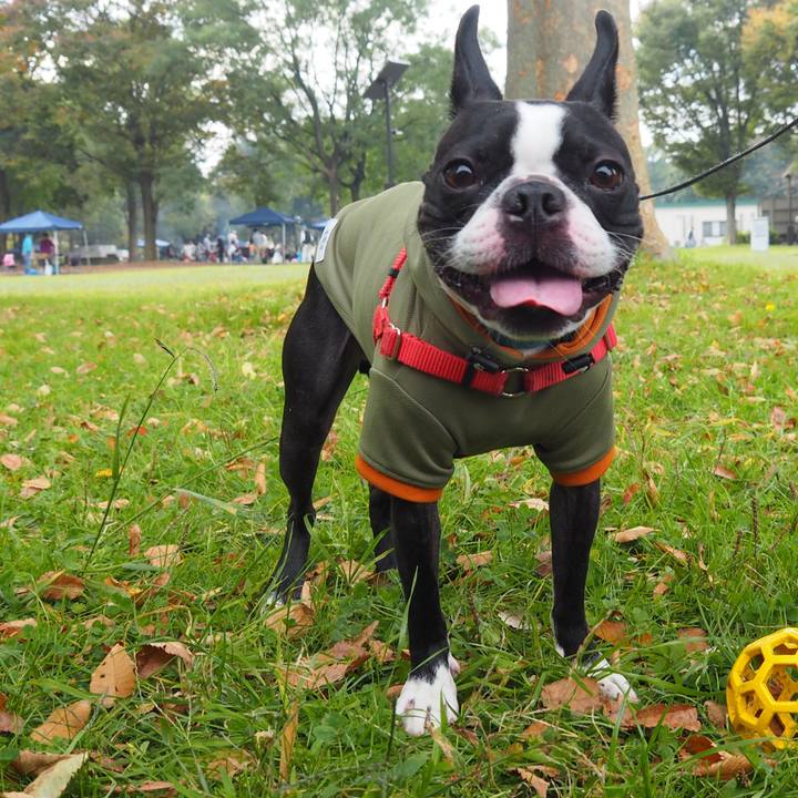 2180f1b8 ece6 4809 a854 0c7ae373c439 1604959302670