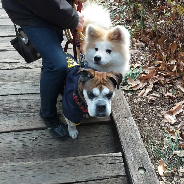 218108bf b4ce 4bfc afb4 e2d6c00ad6cc 1642860921035