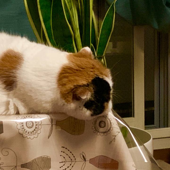 21810d48 84ba 4bce 8cbf 85b3104fd74e 1568211196900