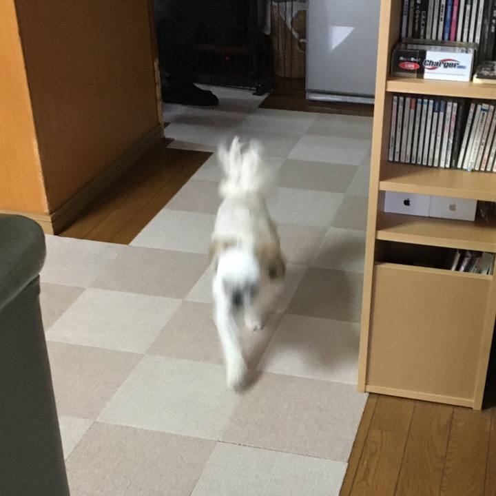 21816b28 30f7 4732 8ec7 28702d0e3fcd 1587901760157