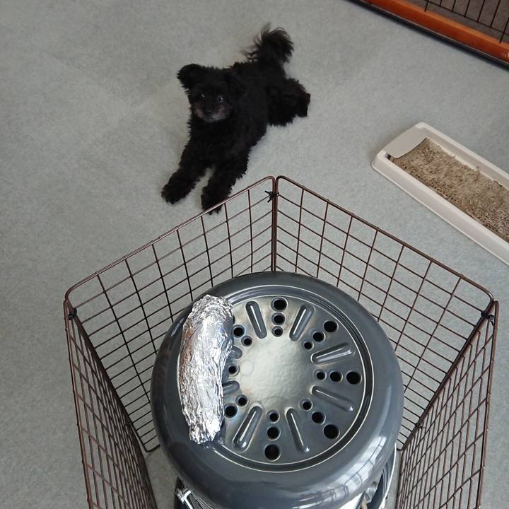 218187db 96fc 458b a231 65b5408d4a57 1513486325927