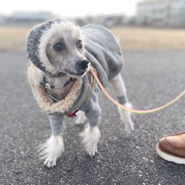 21819617 a6bf 46af a8a2 9572b211aa4b 1765881629026