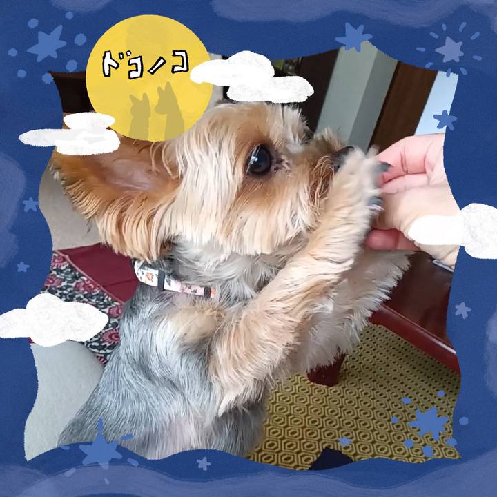 21819e4f 111c 4172 8f0f 14edc5e6eb31 1726813649488