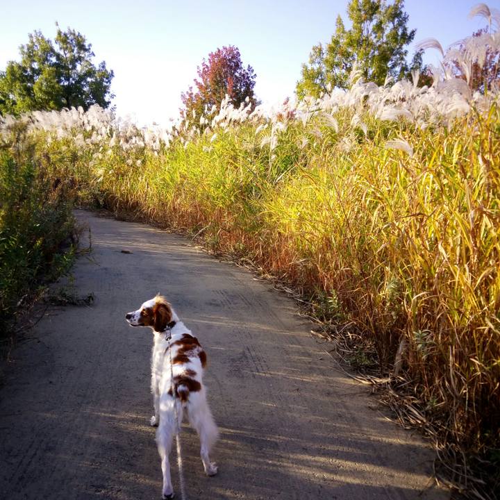 2181ef0f 76a8 442a 9d56 315a1fc933a9 1510576723351