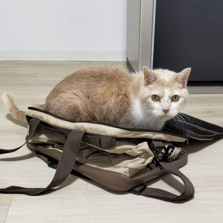 2181fafe a420 4c97 8c59 1b37c7c5faec 1701562123270