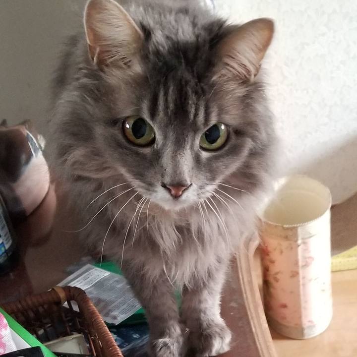 21824c99 a8db 47d7 9708 998e48ce853b 1557954280286