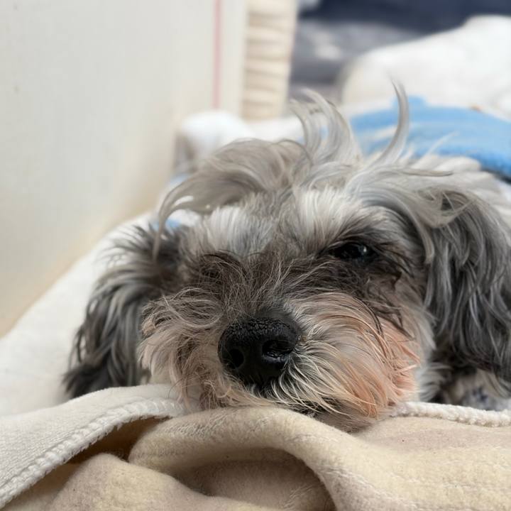 21825762 d192 42ff 960a 79f4b28134cd 1772166466971