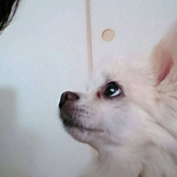 218274e1 6ce9 4671 b03b 9ca85d8d1c52 1509841299787