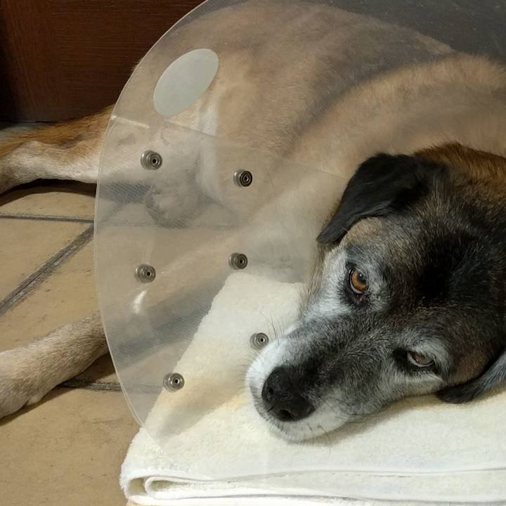 21827c97 27f0 44b5 b605 1e4b004c4043 1516195260534