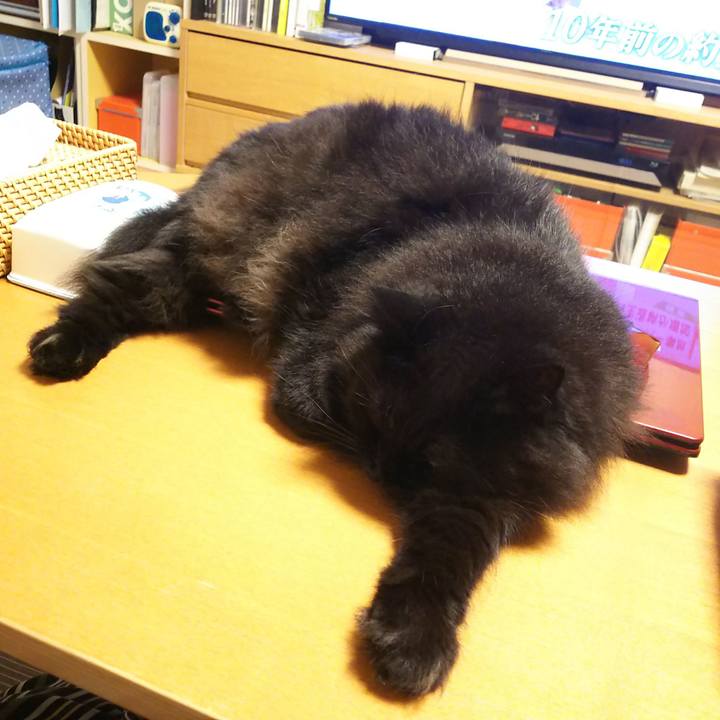 2182c950 07b7 481c a99d a1e02694890f 1563269748233