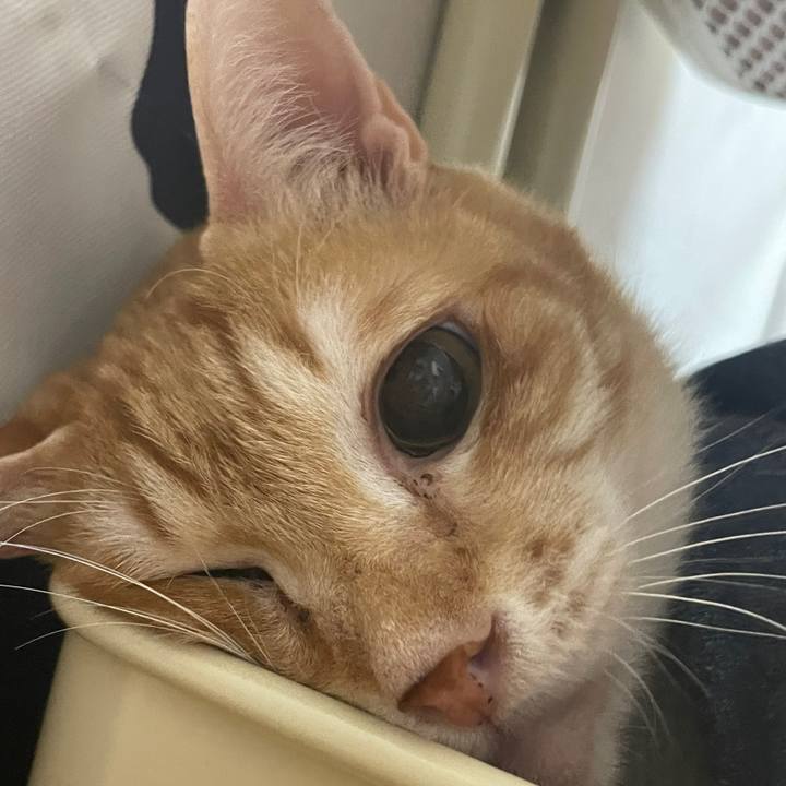 2182e5e0 2759 483b 9a6f 098fbaaa5bfb 1646127092906