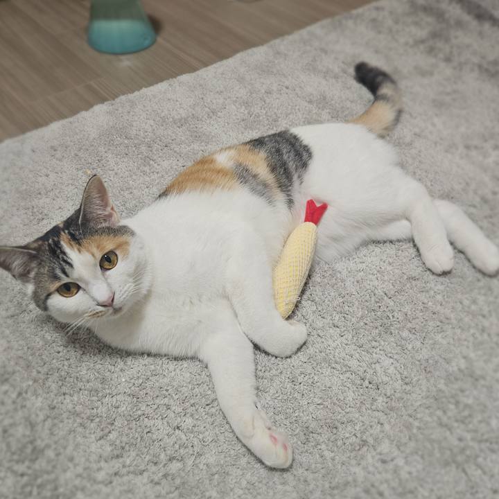 21831a96 72e3 47cf b275 85aeae0326f0 1763439302361