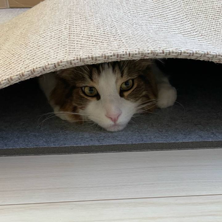 2183246d 3674 49b7 a9ed 6e1dc01812ce 1660858880562