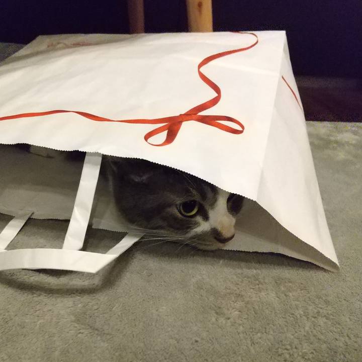 21838c07 0d21 442e b3cd 12c9ff46f6da 1603721344242