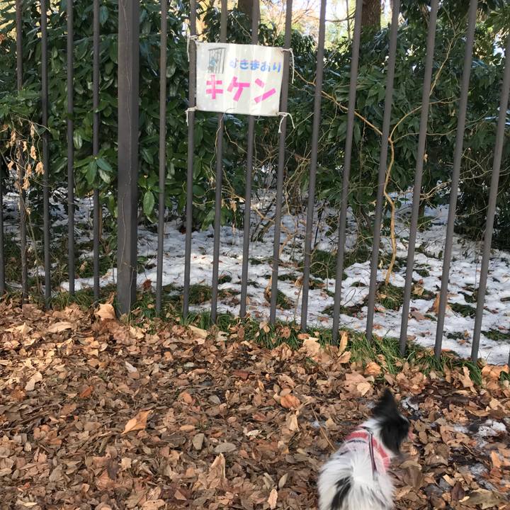 2183cb1b 9fd2 4efe 85ae f00c331a8569 1517288289464