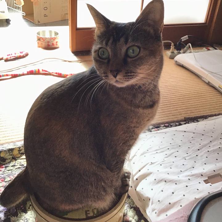 2183e2d1 a0d8 44b1 8fa1 ed2b585d6371 1636972638035