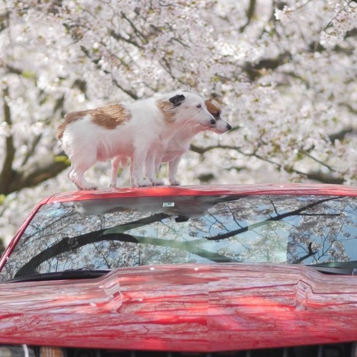 21843480 749b 4f36 8dcb dda754cab7e8 1713187244938