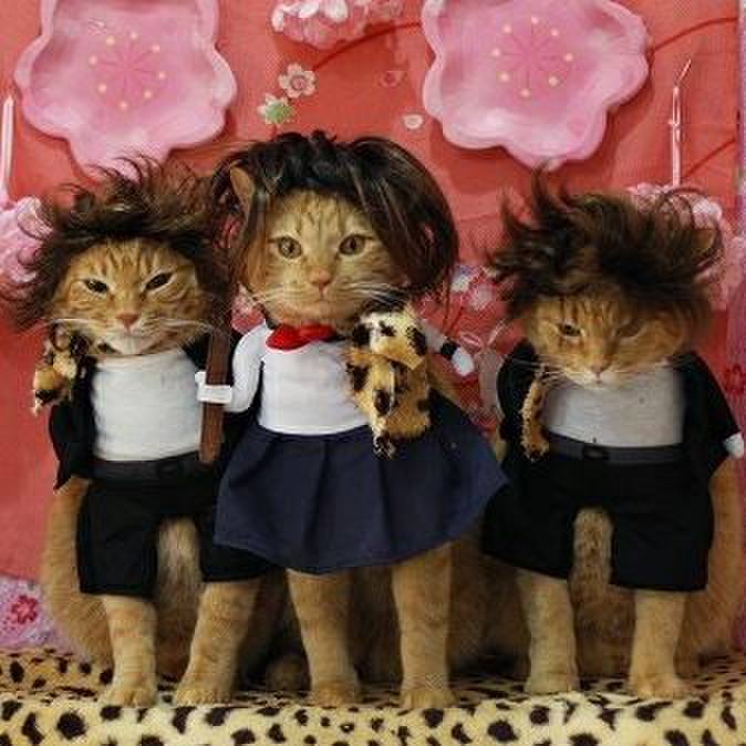 2184349b 994e 4eab 9853 ce5c99a2f03b 1585740930181