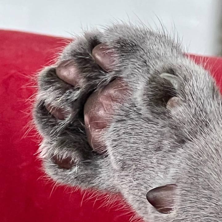 218453c1 f21d 4527 aa06 419ef29ab70d 1669728276040