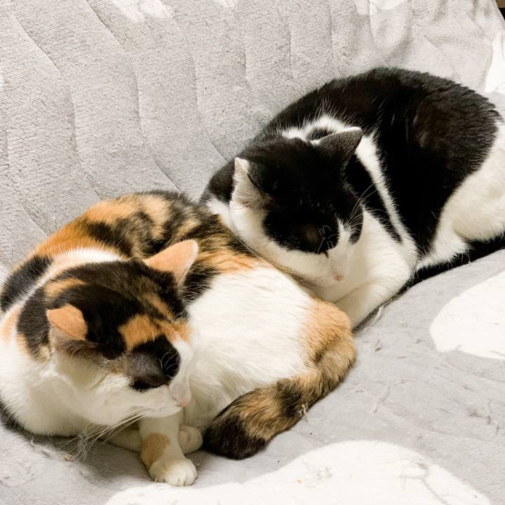 21846853 016e 4198 bc2a 56f233310d03 1583628667127