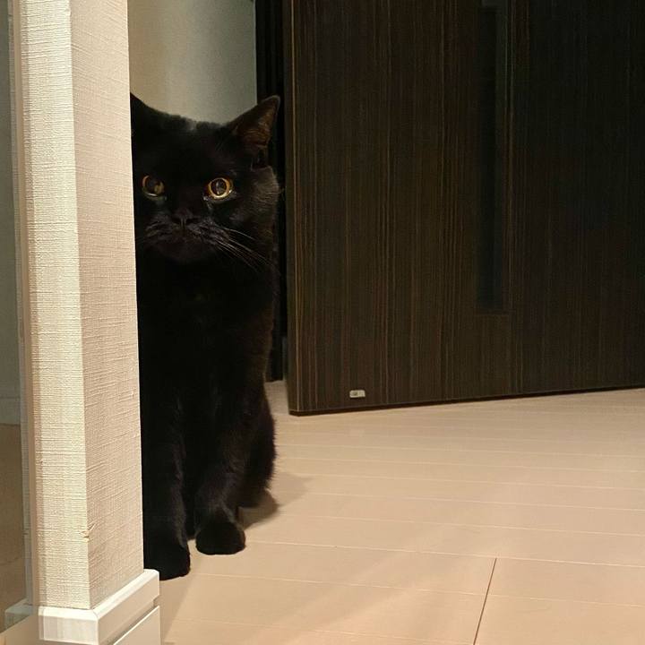 21849d04 ca9e 4464 9dc8 f0c891840441 1753531023244