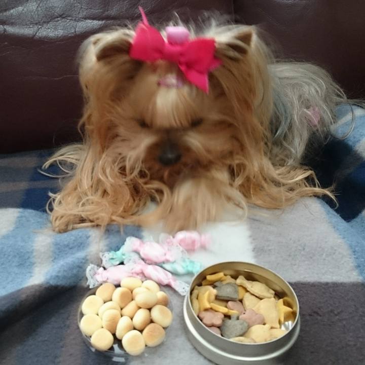 2184ab65 e6a1 42d0 8b8f 1aa8ad4dab40 1644850594056