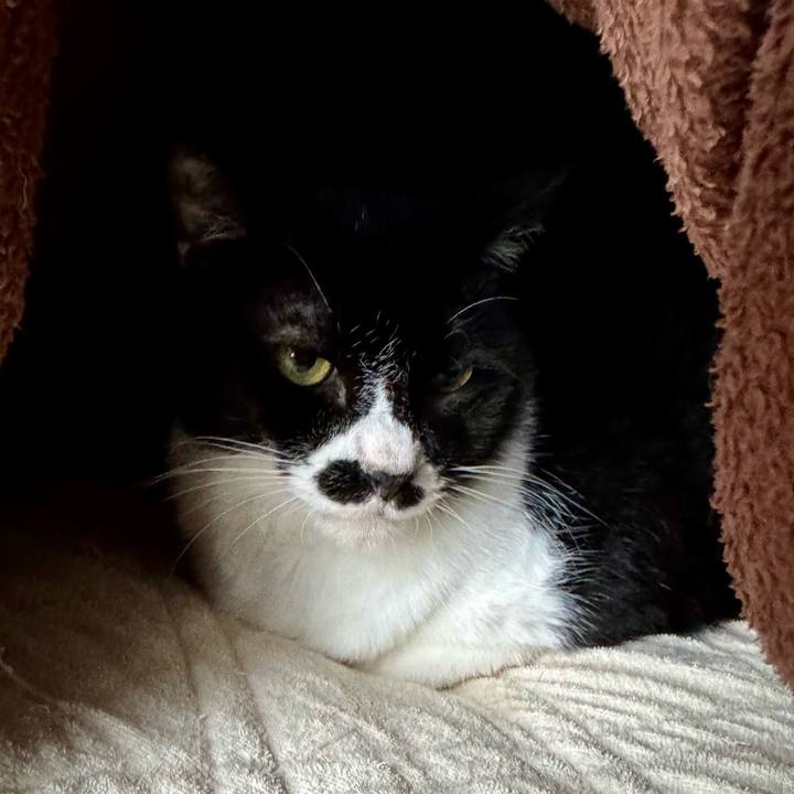 2184c0e4 225f 470e ab97 fd69adb1d43d 1761351022876