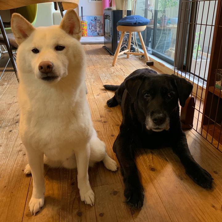 21855829 c5ab 4447 b4a2 227b39de1e7c 1562458242486