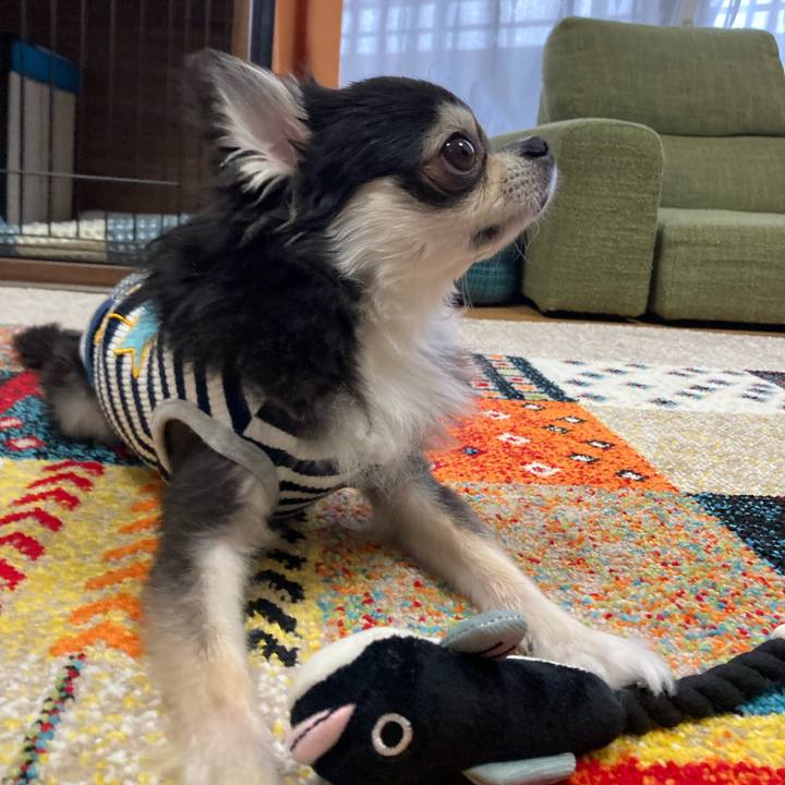 2185bf34 a026 42f9 a5c2 73c2f4d67c73 1685807025682