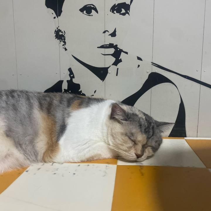 2185c8cb ea04 4127 9e48 51622acdfadc 1723889320572