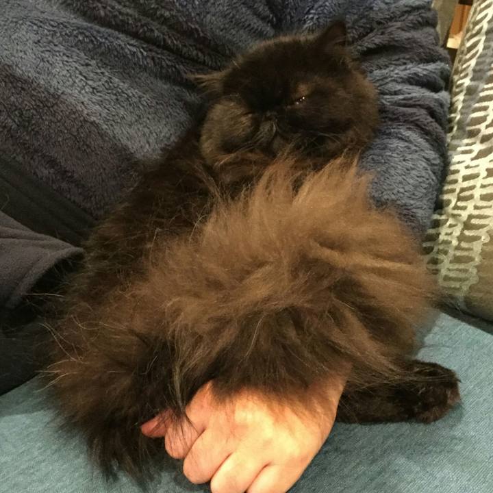 2185f761 d126 4c39 8e10 d76fbe69ec1f 1512389497029