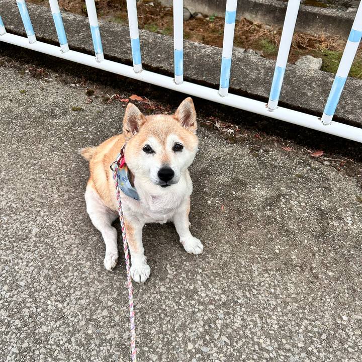 21861851 b877 4055 9e53 843c0be8708f 1752313528646