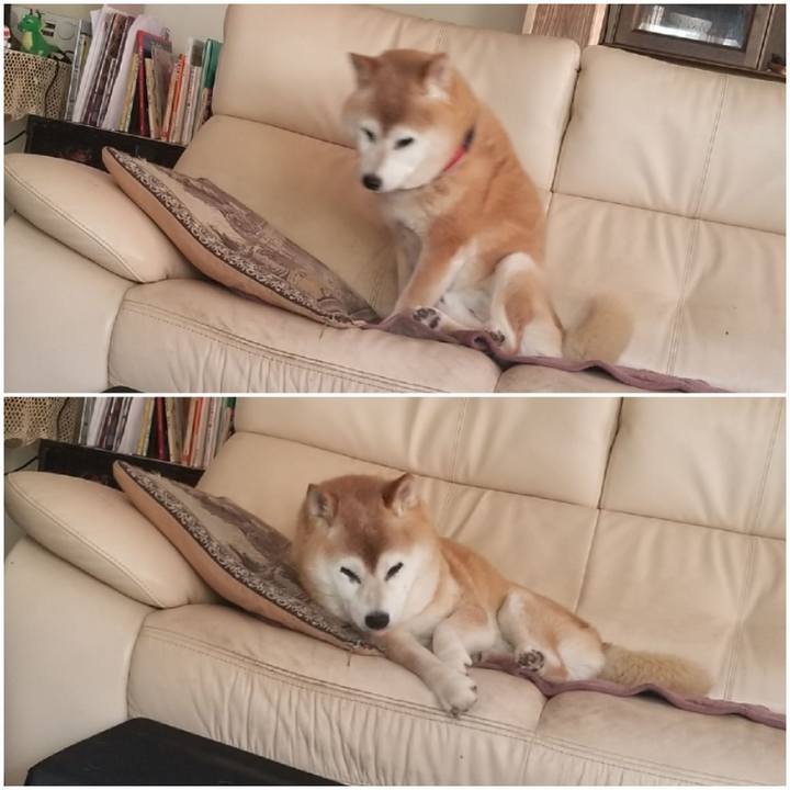 21863249 f3a4 4126 a227 12f34790a86c 1751241391227