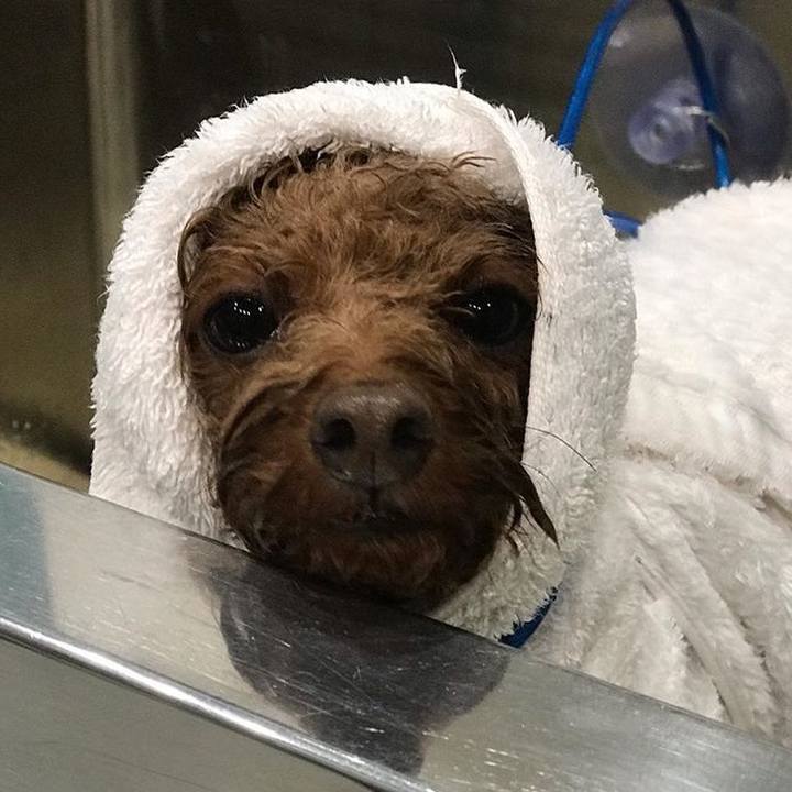 218685d1 ed28 464c b31b 86771a029cc5 1539741121063