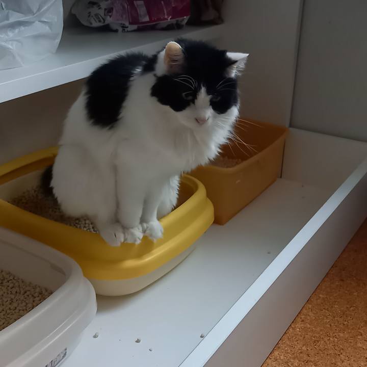 218691fc 9956 4b9c a857 6429eddde48b 1664404027752