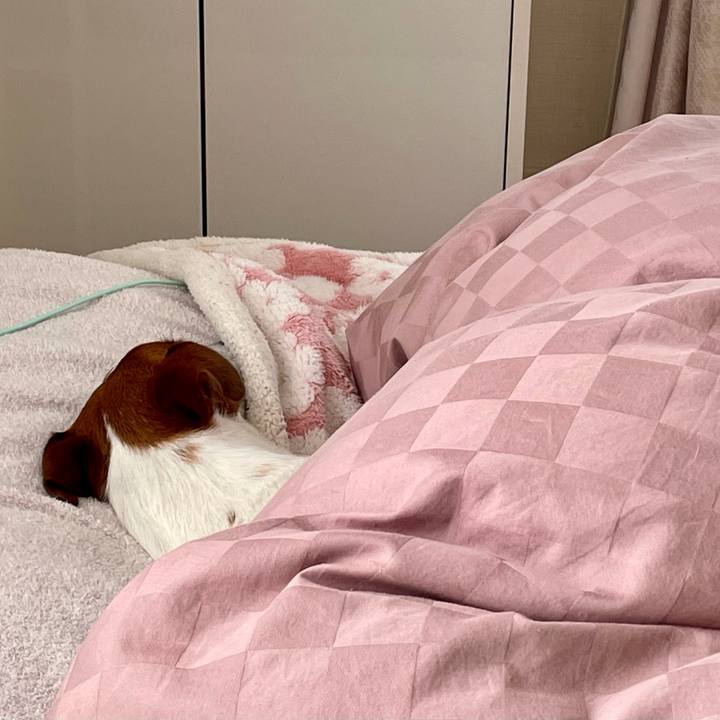 2186c16e 58f7 4cbd b72e e5ae072f2739 1621481573940