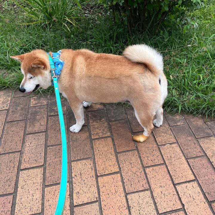 2186cc6c 7972 4115 9fa4 67fa496456cd 1719282524893