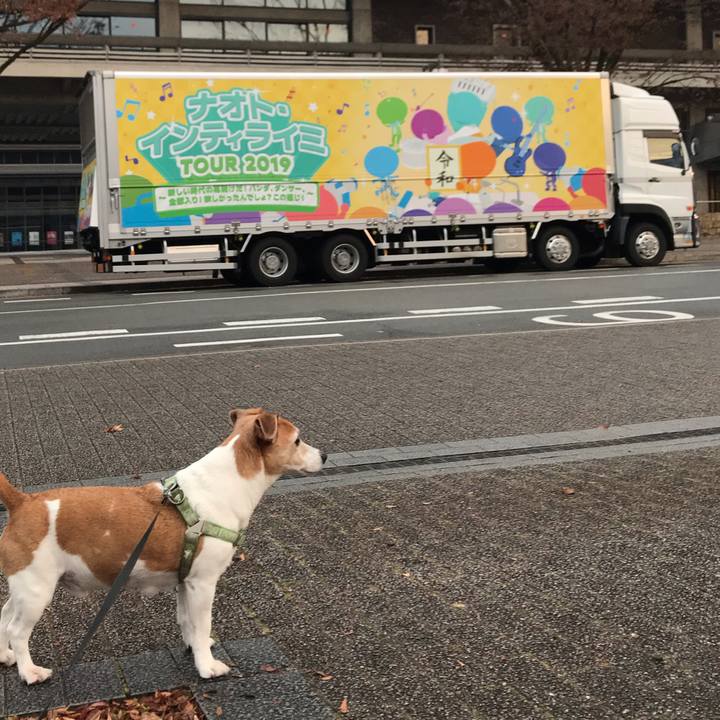 2186da61 976f 4a68 a96a 85662b49ca2f 1576571281729