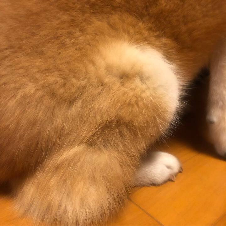 2186e6ae 8b0e 4175 9bc6 dd80fe90911a 1548229868341