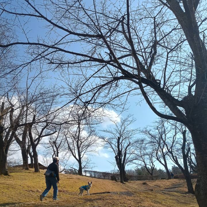 2186f0ba 447d 47b2 bf5a 5f24532fd038 1774182110651