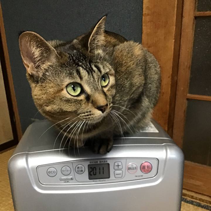 2187492f bb07 4f13 bf6a 938b7520867f 1639864928397