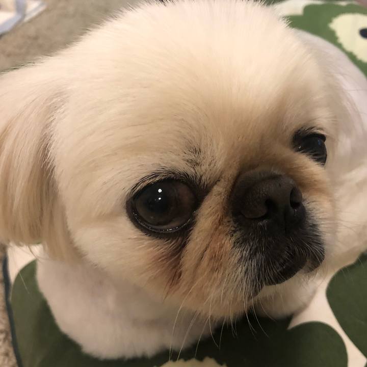 218761e6 a961 44c0 adc3 09cce2df131c 1536230235365