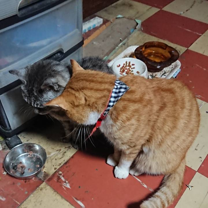 21876aa1 232c 412d a798 84afb9e2b519 1569183198695