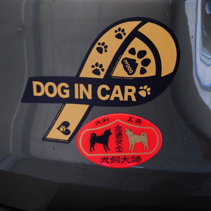 21876c6f 5872 4d93 988e 8261c47d0086 1767054429527